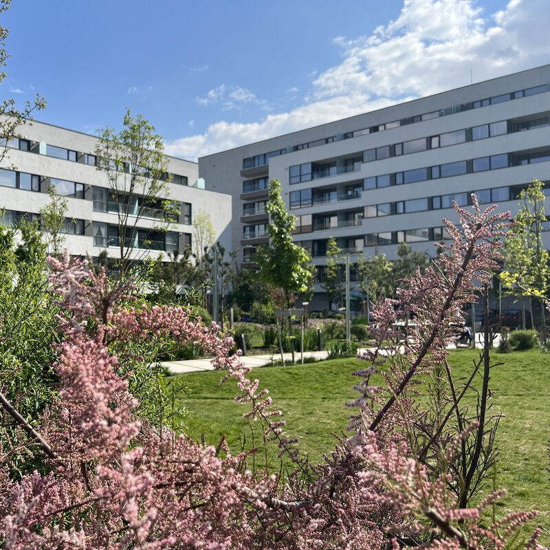 Lacul Straulesti, Mall Colosseum,