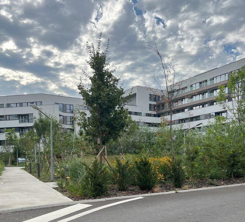 Lacul Straulesti, Mall Colosseum,