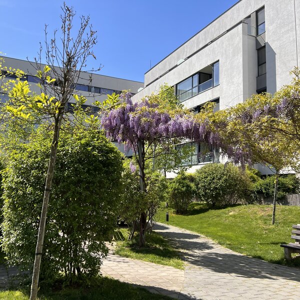 Lacul Straulesti, Mall Colosseum,