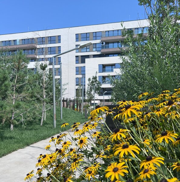 Lacul Straulesti, Mall Colosseum,