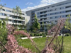 Lacul Straulesti, Mall Colosseum